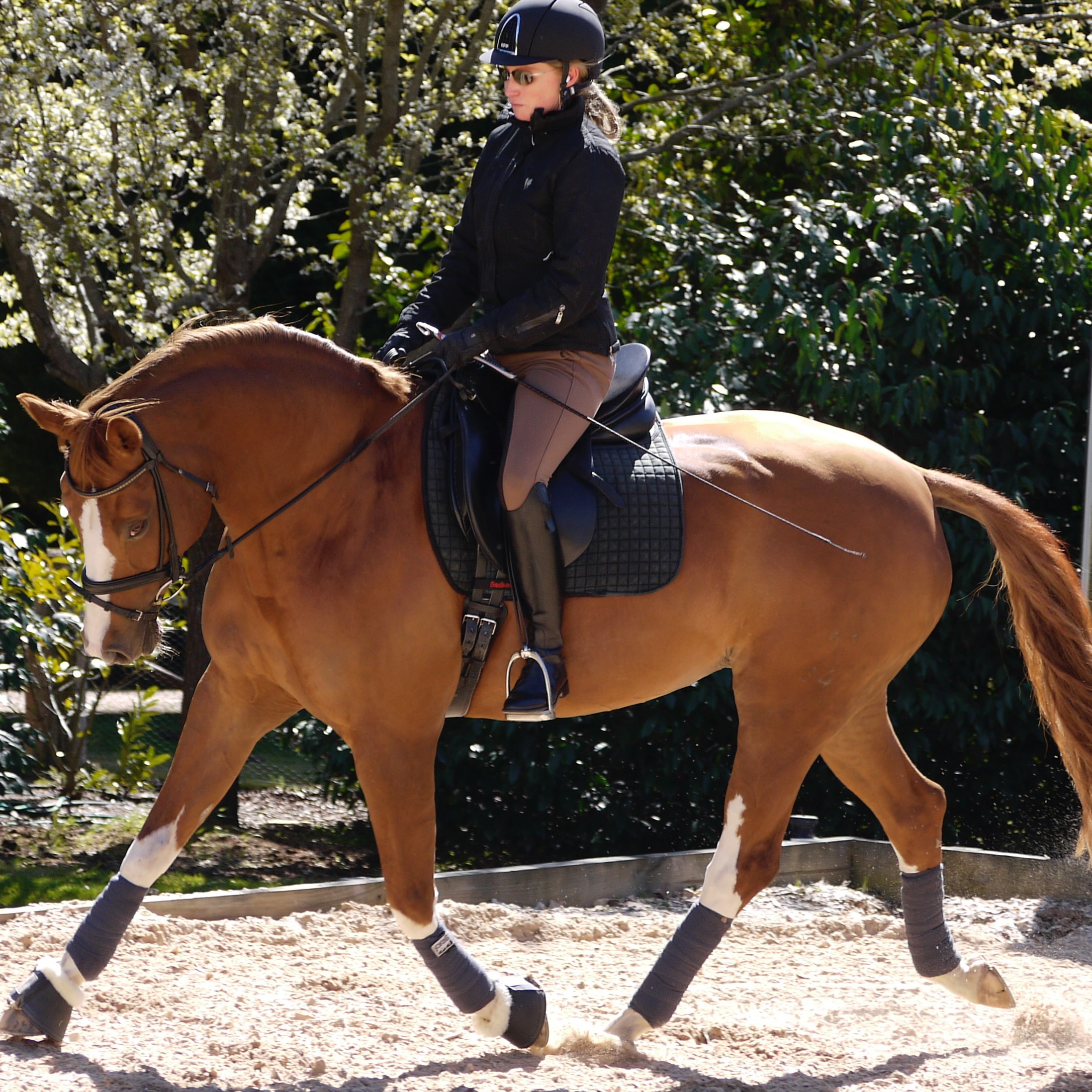 Ballo dressage stables